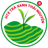 BẢO NGỌC TRÀ