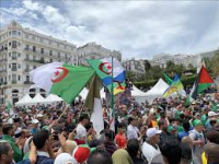 elmihwar Algeria