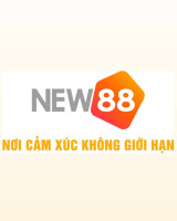 NEW88