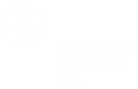 Bharat Bricks