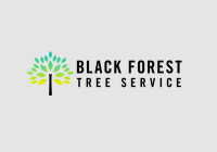 Black Forest Tree Service