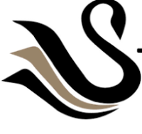 Black Swan executive chauffeurs