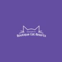 Boutique Cat Resorts Seaforth