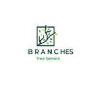 Branches Tree Service Gladesville