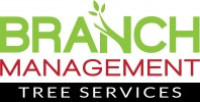 Branch Management