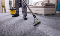 Carpet Cleaning Coorparoo