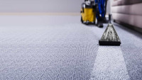 Newark Carpet Cleaning