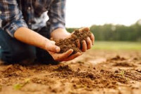 Soil treatment Australia