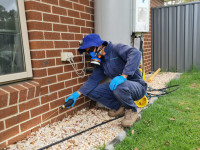 BITE THE DUST PEST CONTROL | Pest Control in Gardena