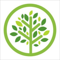 Verdant Dental