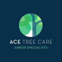 Ace Tree Care