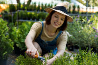 Grass Cutting Melbourne - I love gardening