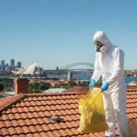 Fresh Dead Animal Cleanup VIC