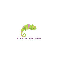 Florida Reptiles
