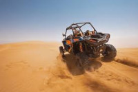 Buggy tours