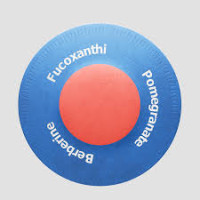Purisaki Patches Reviews 2026 – Does This Weight Loss Patch Benefits, Ingredients & Real Results Really Work?