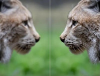 Photo Enhancer