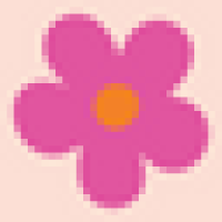 The Posy Ci