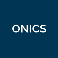 Onics power resistor