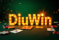 Diuwin – A Unique Name for Innovation and Digital Growth