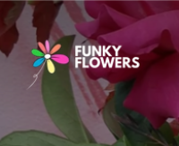 Funky Flowers