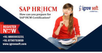 SAP HR HCM Course in Hyderabad | Igrowsoft