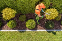 Groovy Gardeners