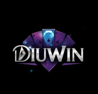Diuwin: Empowering the Future of Digital Innovation