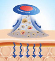 Purisaki Patches Australia Review: Natural Ingredients for Better Well-Being, Ingredients, Benefits & Safety!