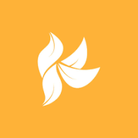 Kimi Naturals