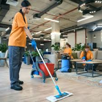 Real Cozy Maid LLC Shine Brighter with Trusted Cleaning Experts in Plantation, FL