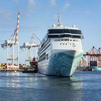 cruise insurance quotes