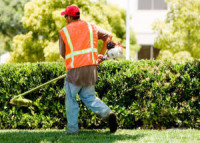 Ace Power Washing, Lawn Care and Property Maintenance