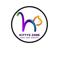 Gentle Cat Training in Dubai for Behavior, Manners, and Skills