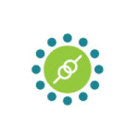 KiwiQA Services