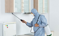 Knockdown Pest Control