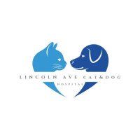 Top Veterinary Surgery Services for Dogs in New Jersey