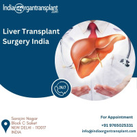 Liver Transplant in India Cost