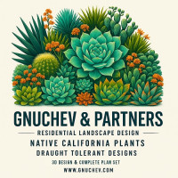 Gnuchev & Partners LLC