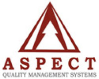 ISO 9001 quality management system