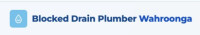 Blocked Drain Plumber Wahroonga