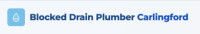 Blocked Drain Plumber Carlingford