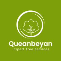 Queanbeyan Expert Tree Services