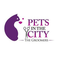Pets In The City - Pet Care Dubai