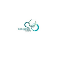 Energetics Institute