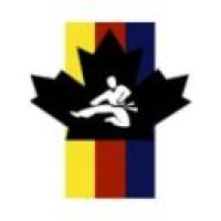 Authentic Taekwondo