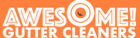 Awesome Gutter Cleaners