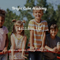 Bright Cubs Academy - Kindergarten, Long Daycare Early Learning Center