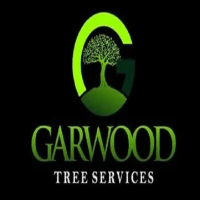 GTS Trees
