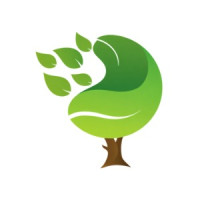 Absolute Tree Services